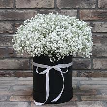 Цветочная композиция из Гипсофила в шляпной коробке #REPLACE_PRED# Переяславке